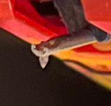 Panasonic SG-J800 Turntable Cassette Boombox stylus close-up