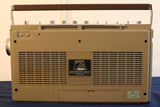 Pioneer SK-31 Boombox